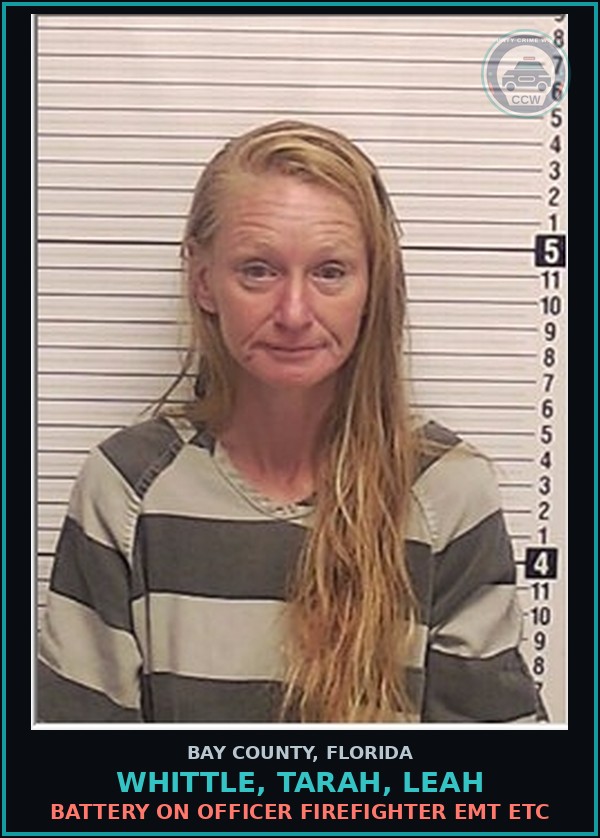 Booking mugshot of WHITTLE, TARAH, LEAH in Bay County