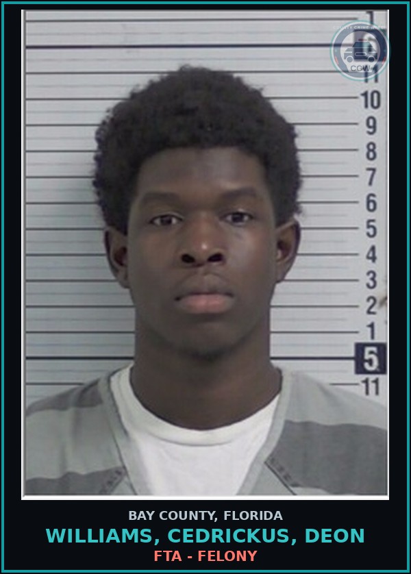 Booking mugshot of WILLIAMS, CEDRICKUS, DEON in Bay County
