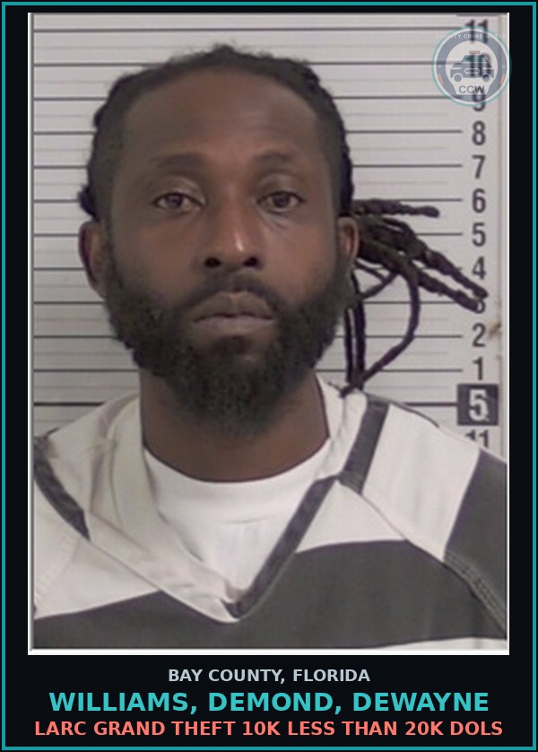 Booking mugshot of WILLIAMS, DEMOND, DEWAYNE in Bay County