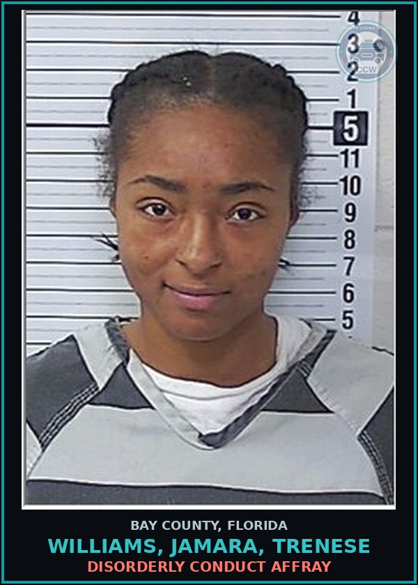 Booking mugshot of WILLIAMS, JAMARA, TRENESE in Bay County
