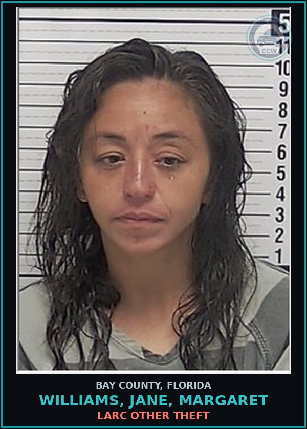 Booking mugshot of WILLIAMS, JANE, MARGARET in Bay County