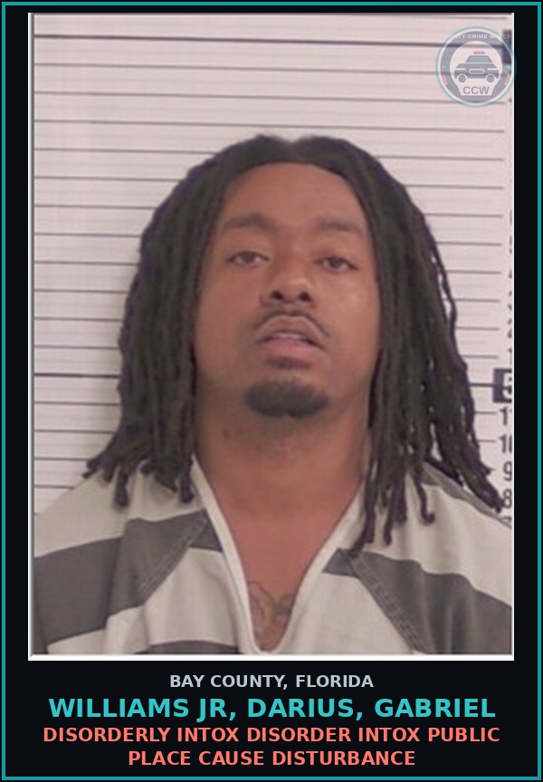 Booking mugshot of WILLIAMS JR, DARIUS, GABRIEL in Bay County