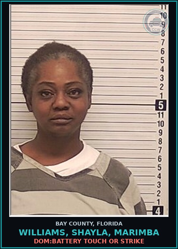 Booking mugshot of WILLIAMS, SHAYLA, MARIMBA in Bay County