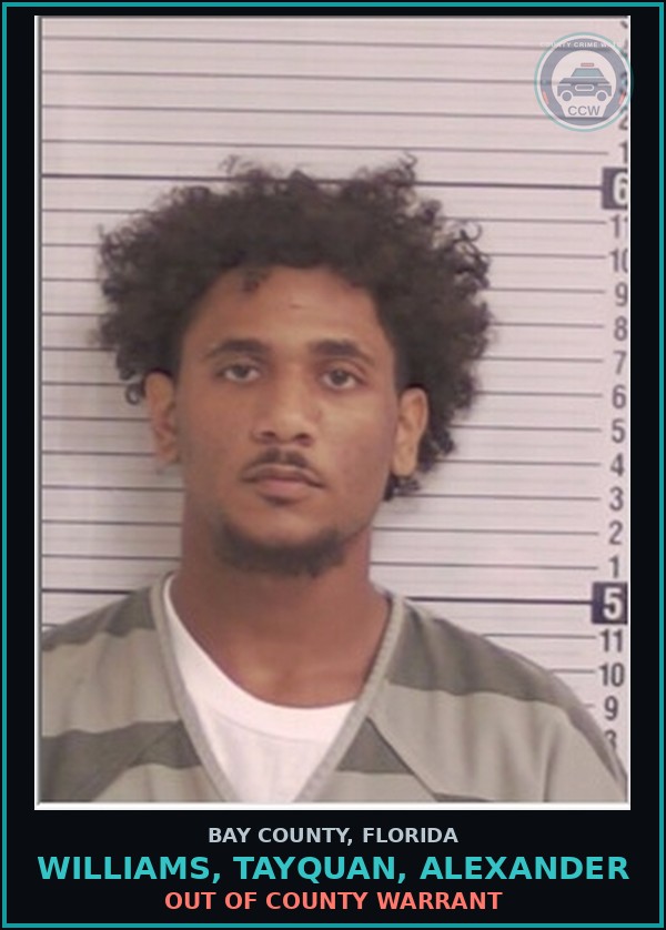 Booking mugshot of WILLIAMS, TAYQUAN, ALEXANDER in Bay County
