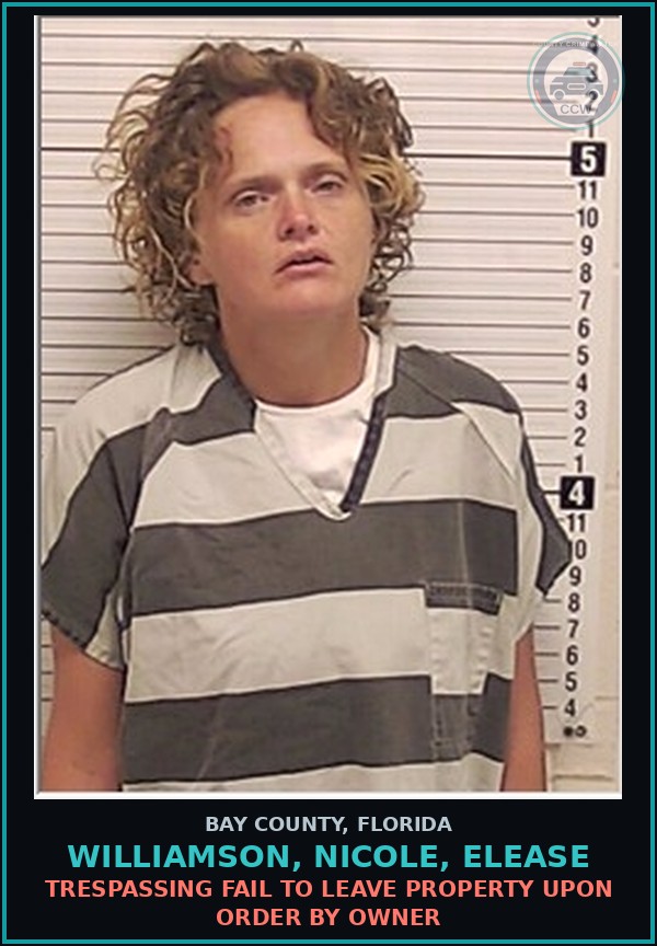 Booking mugshot of WILLIAMSON, NICOLE, ELEASE in Bay County