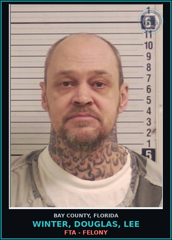 Booking mugshot of WINTER, DOUGLAS, LEE in Bay County