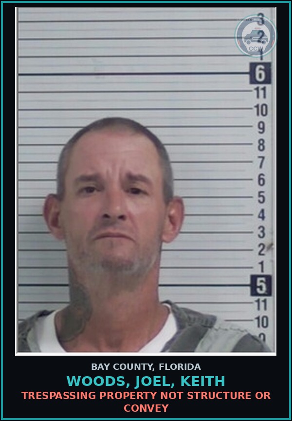 Booking mugshot of WOODS, JOEL, KEITH in Bay County