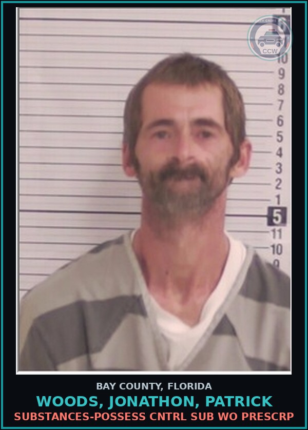 Booking mugshot of WOODS, JONATHON, PATRICK in Bay County