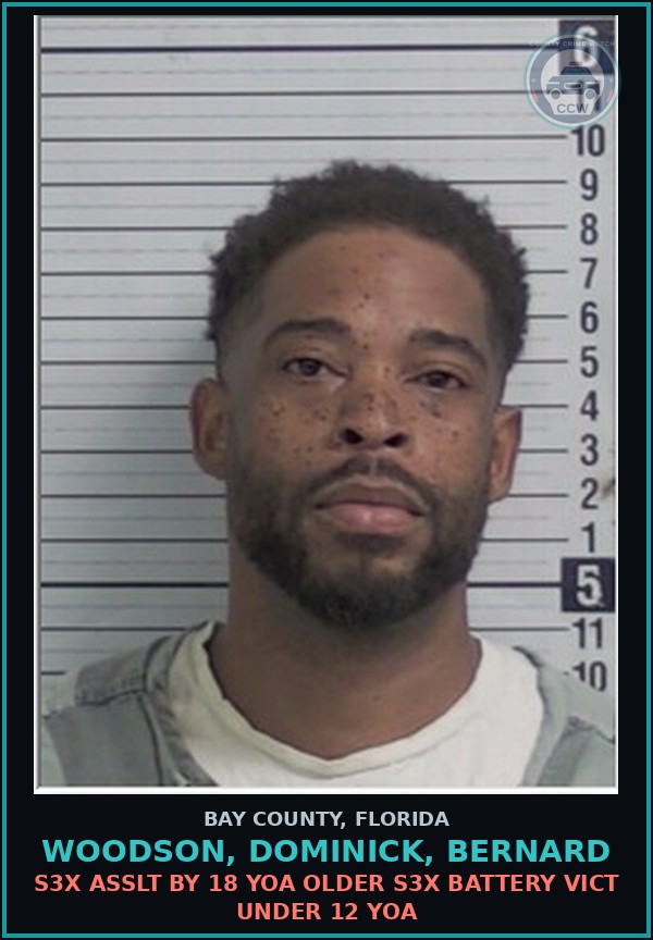 Booking mugshot of WOODSON, DOMINICK, BERNARD in Bay County