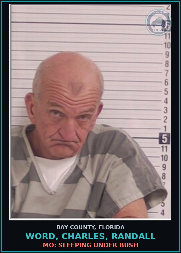Booking mugshot of WORD, CHARLES, RANDALL in Bay County