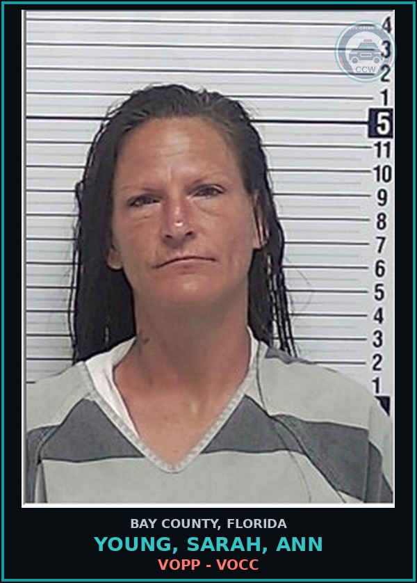Booking mugshot of YOUNG, SARAH, ANN in Bay County