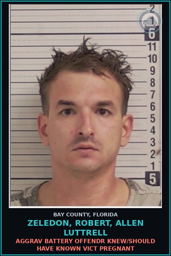 Booking mugshot of ZELEDON, ROBERT, ALLEN LUTTRELL in Bay County