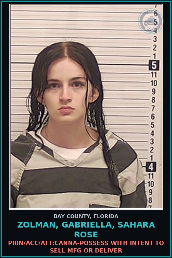 Booking mugshot of ZOLMAN, GABRIELLA, SAHARA ROSE in Bay County