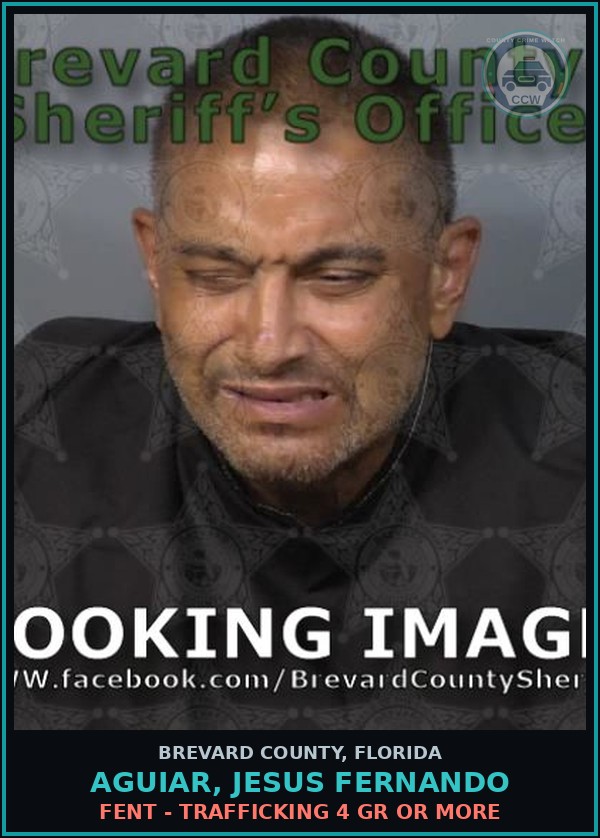 Booking mugshot of Aguiar, Jesus Fernando in Brevard County