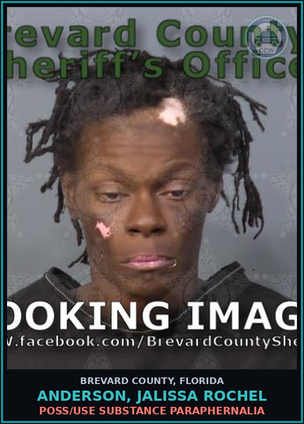 Booking mugshot of ANDERSON, JALISSA ROCHEL in Brevard County