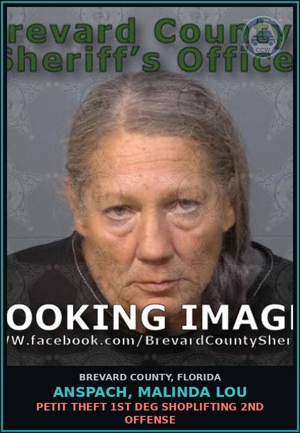 Booking mugshot of ANSPACH, MALINDA LOU in Brevard County
