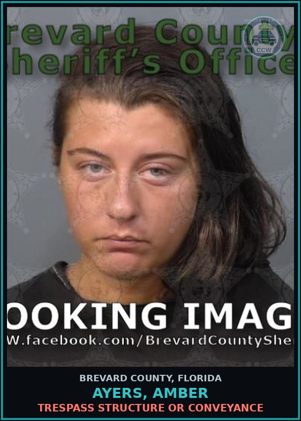 Booking mugshot of AYERS, AMBER in Brevard County