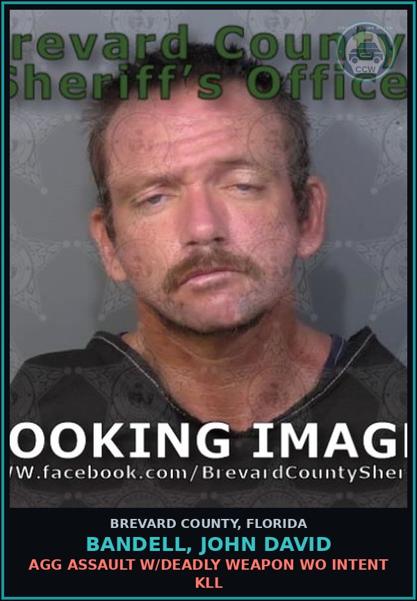 Booking mugshot of BANDELL, JOHN DAVID in Brevard County
