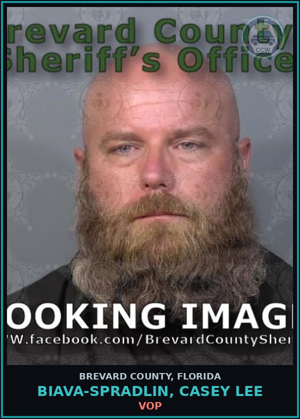 Booking mugshot of Biava-Spradlin, Casey Lee in Brevard County