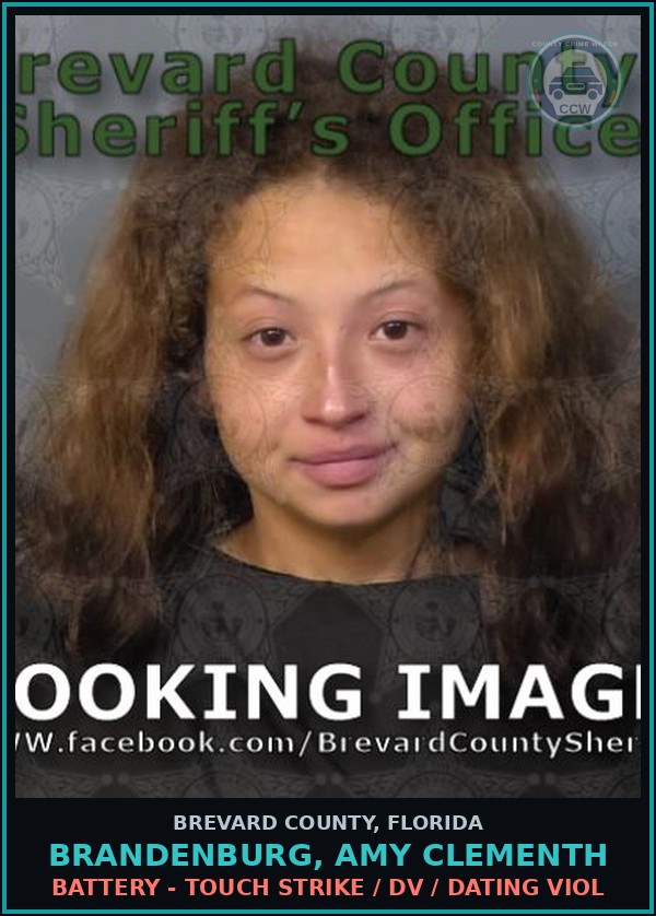 Booking mugshot of BRANDENBURG, AMY CLEMENTH in Brevard County