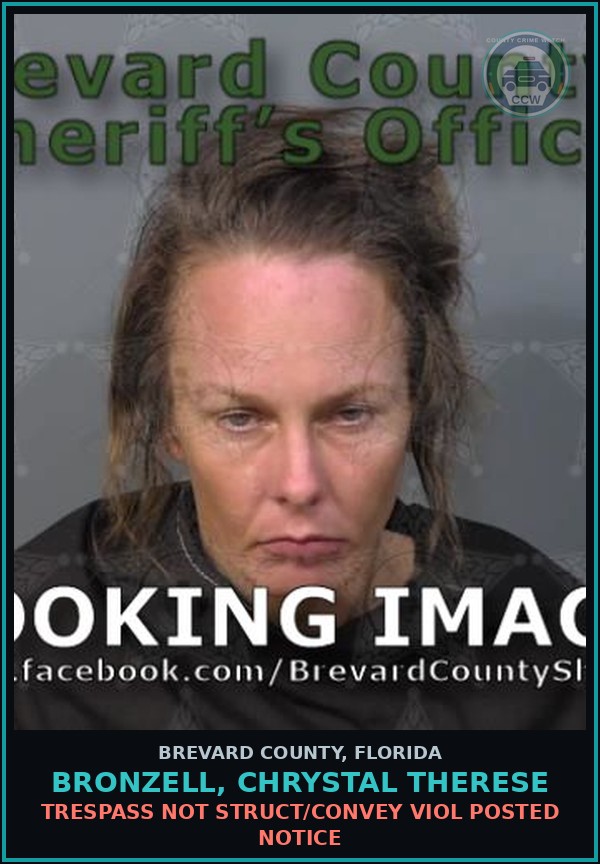 Booking mugshot of BRONZELL, CHRYSTAL THERESE in Brevard County