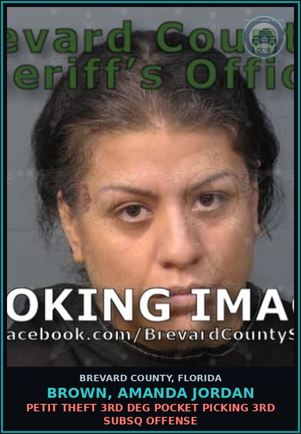 Booking mugshot of BROWN, AMANDA JORDAN in Brevard County