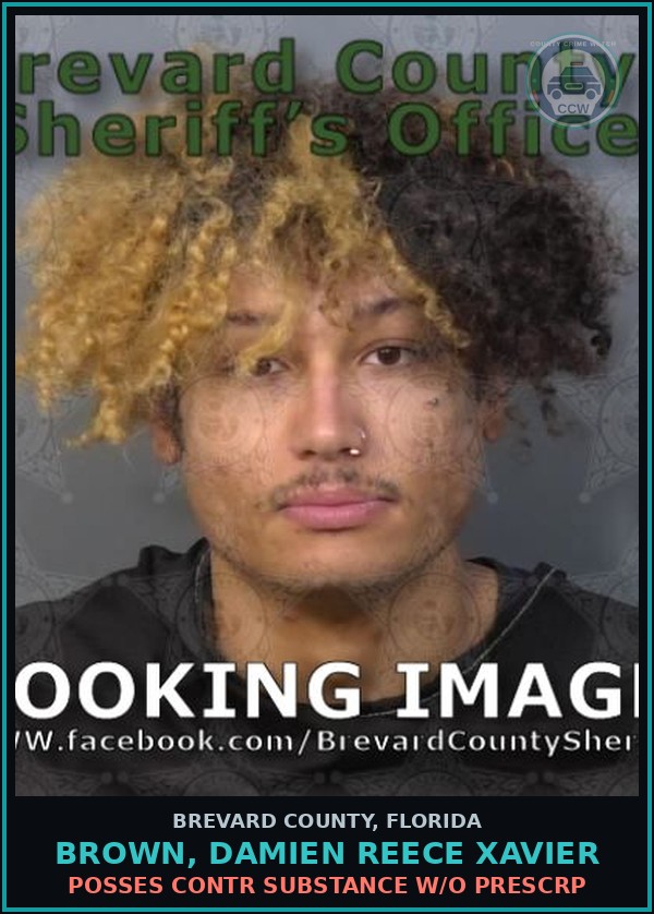 Booking mugshot of BROWN, DAMIEN REECE XAVIER in Brevard County
