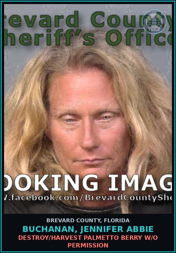 Booking mugshot of Buchanan, Jennifer Abbie in Brevard County