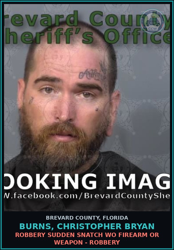 Booking mugshot of BURNS, CHRISTOPHER BRYAN in Brevard County