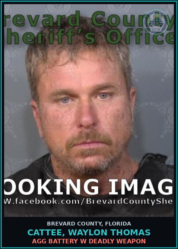 Booking mugshot of CATTEE, WAYLON THOMAS in Brevard County