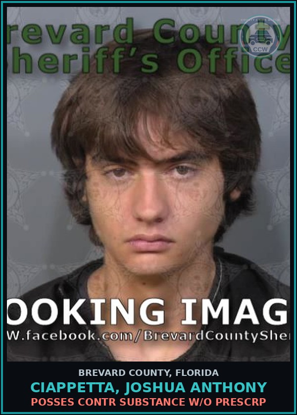 Booking mugshot of CIAPPETTA, JOSHUA ANTHONY in Brevard County