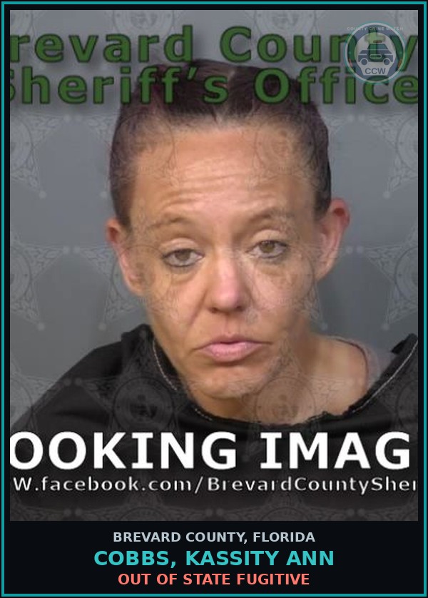 Booking mugshot of Cobbs, Kassity ANN in Brevard County