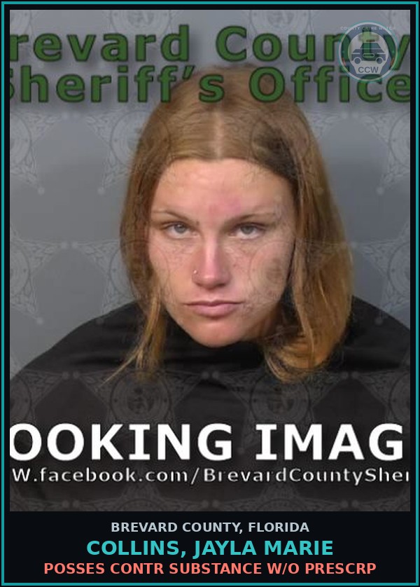 Booking mugshot of COLLINS, JAYLA MARIE in Brevard County