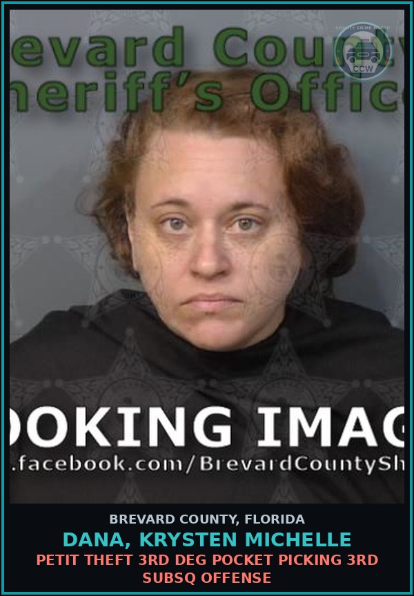 Booking mugshot of DANA, KRYSTEN MICHELLE in Brevard County