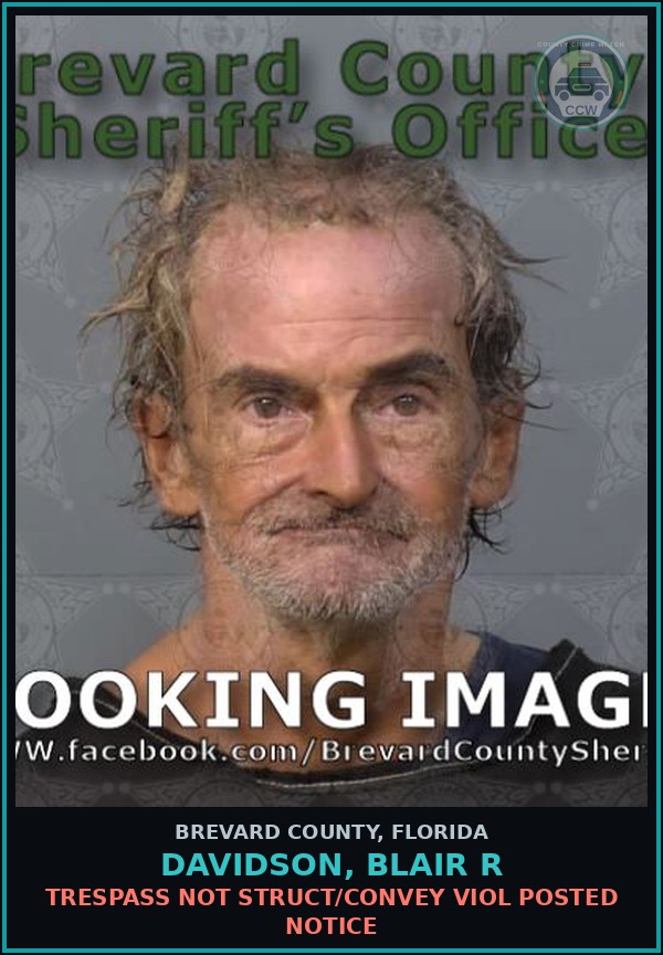 Booking mugshot of Davidson, Blair R in Brevard County