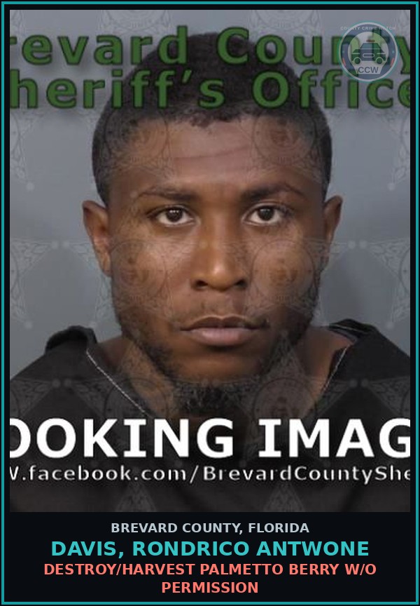 Booking mugshot of DAVIS, RONDRICO ANTWONE in Brevard County