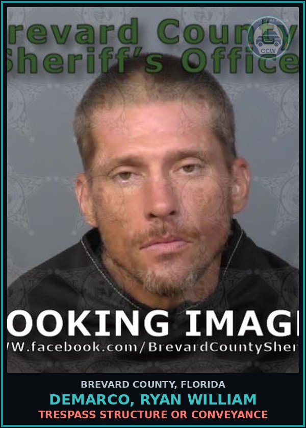 Booking mugshot of Demarco, Ryan William in Brevard County