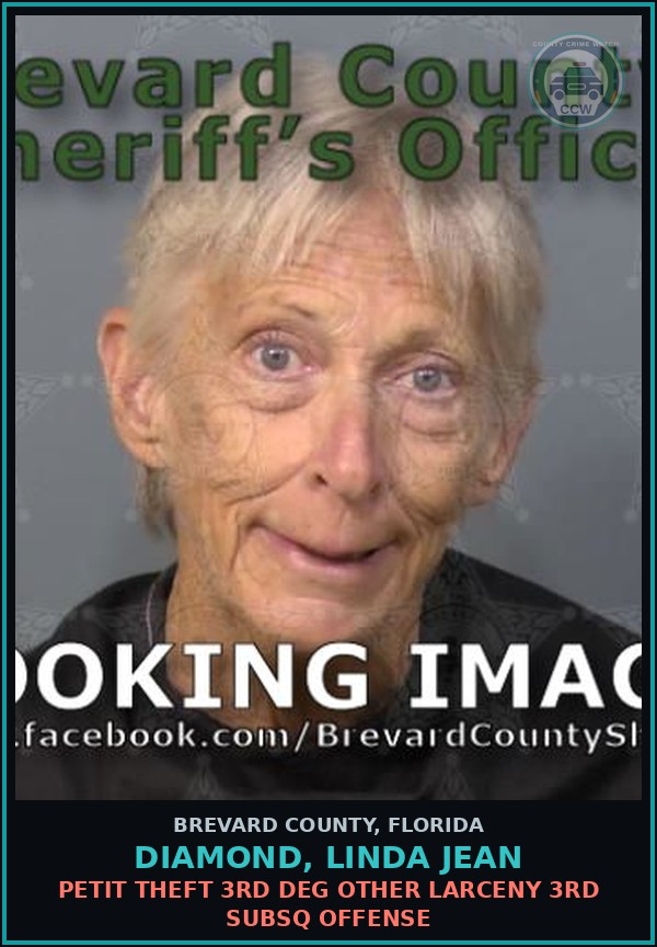 Booking mugshot of DIAMOND, LINDA JEAN in Brevard County
