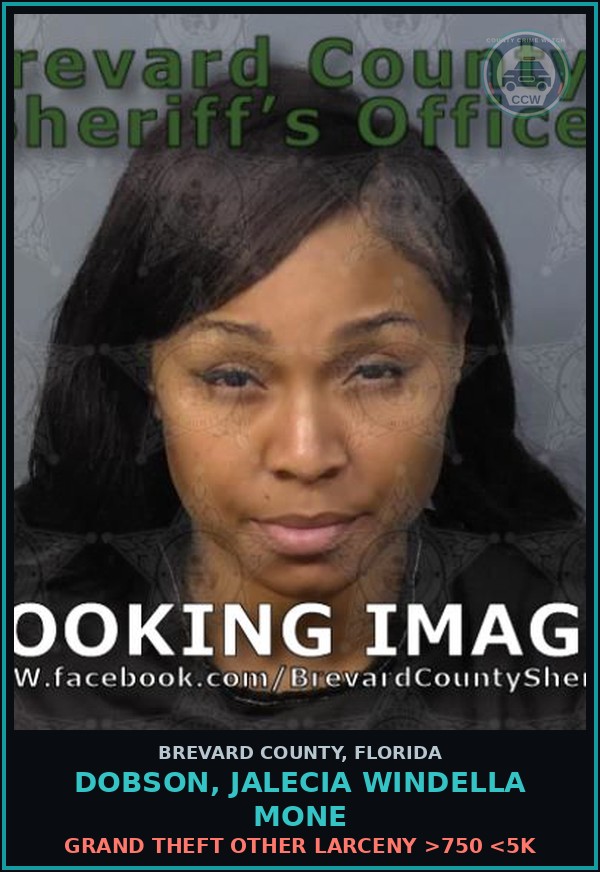 Booking mugshot of Dobson, Jalecia WINDELLA MONE in Brevard County