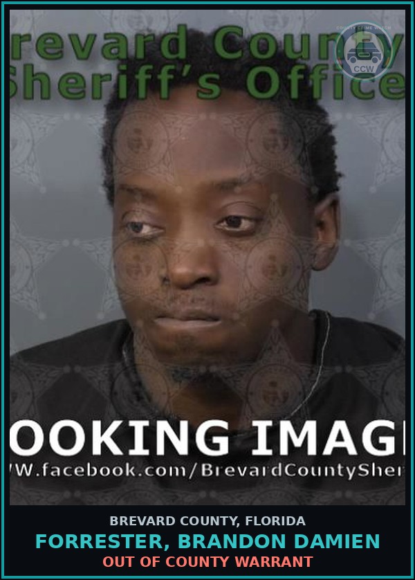 Booking mugshot of FORRESTER, BRANDON DAMIEN in Brevard County