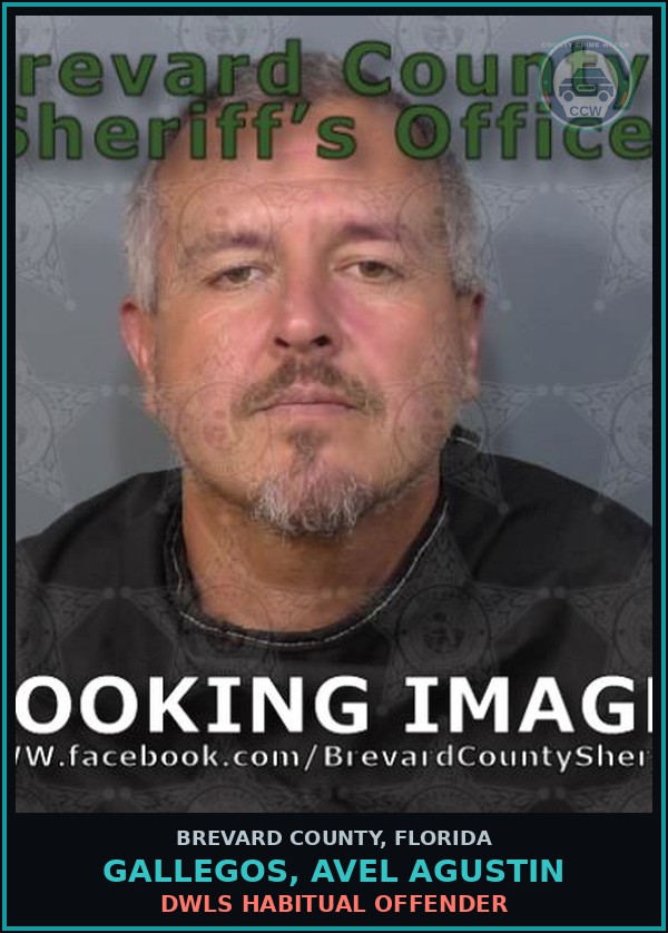 Booking mugshot of Gallegos, Avel Agustin in Brevard County