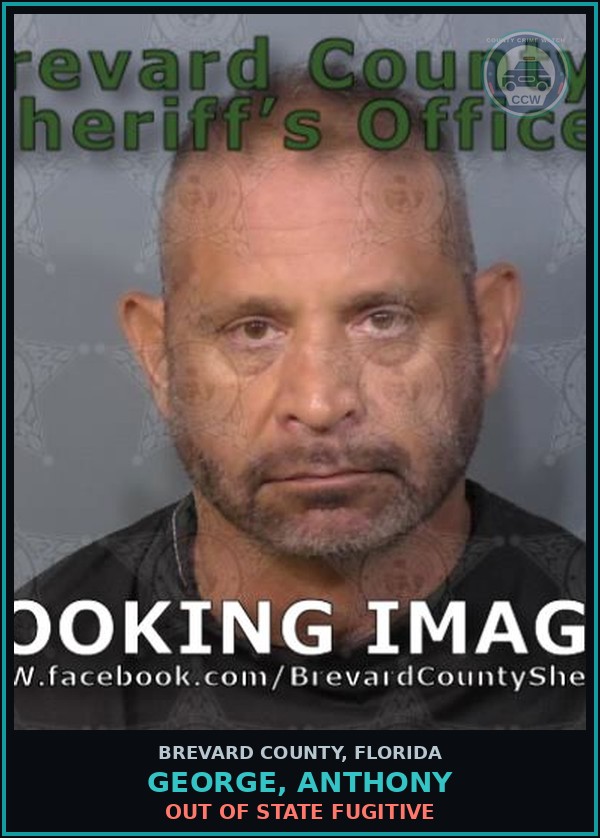 Booking mugshot of GEORGE, ANTHONY in Brevard County