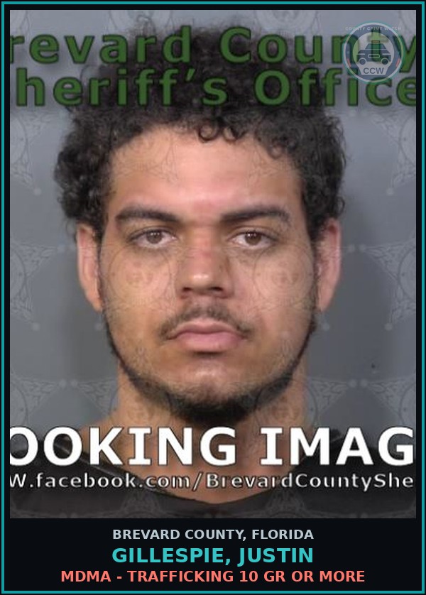 Booking mugshot of GILLESPIE, JUSTIN in Brevard County