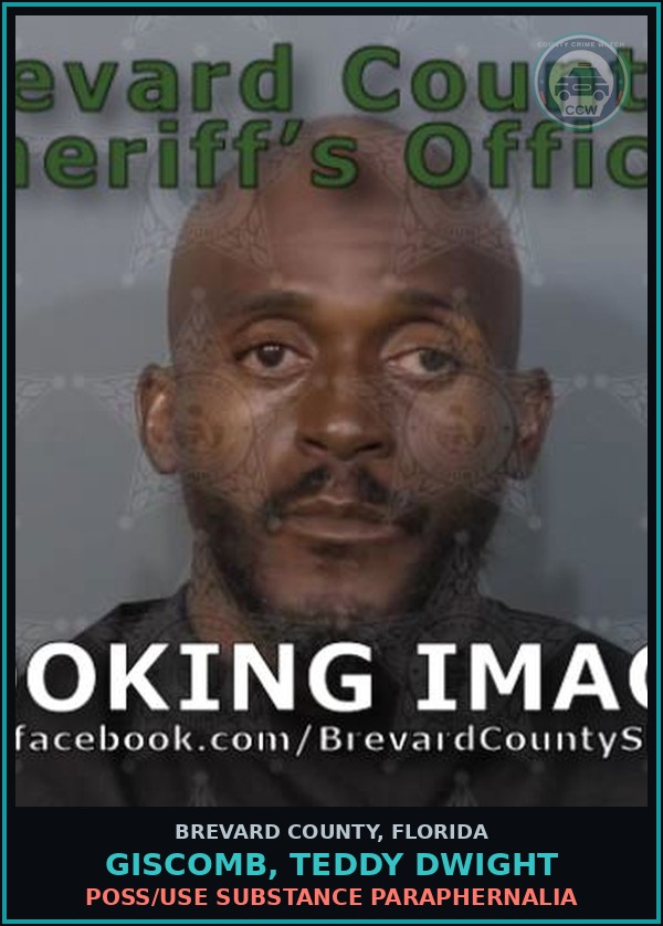 Booking mugshot of GISCOMB, TEDDY DWIGHT in Brevard County
