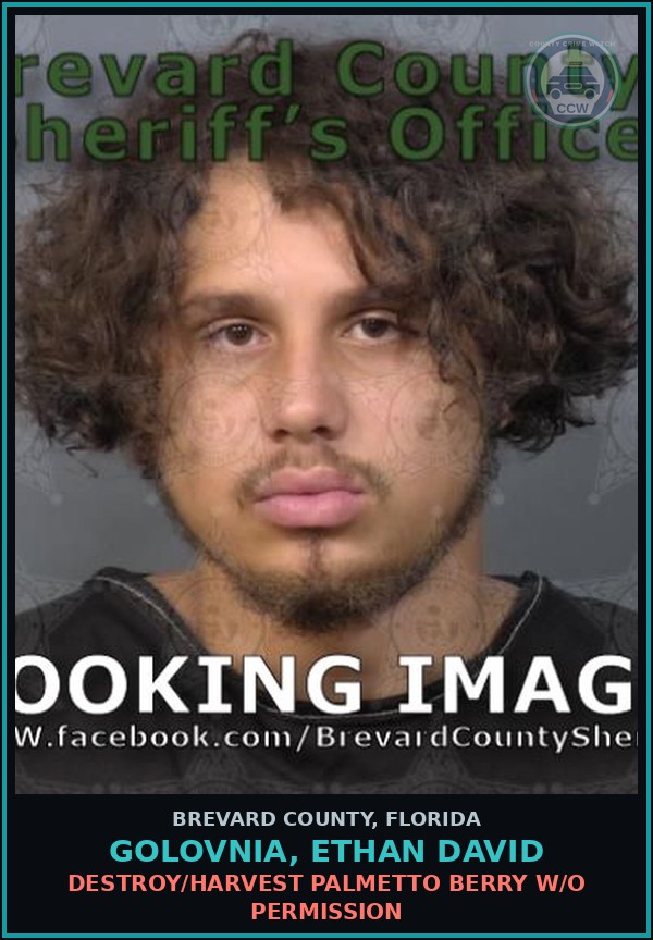 Booking mugshot of GOLOVNIA, ETHAN DAVID in Brevard County