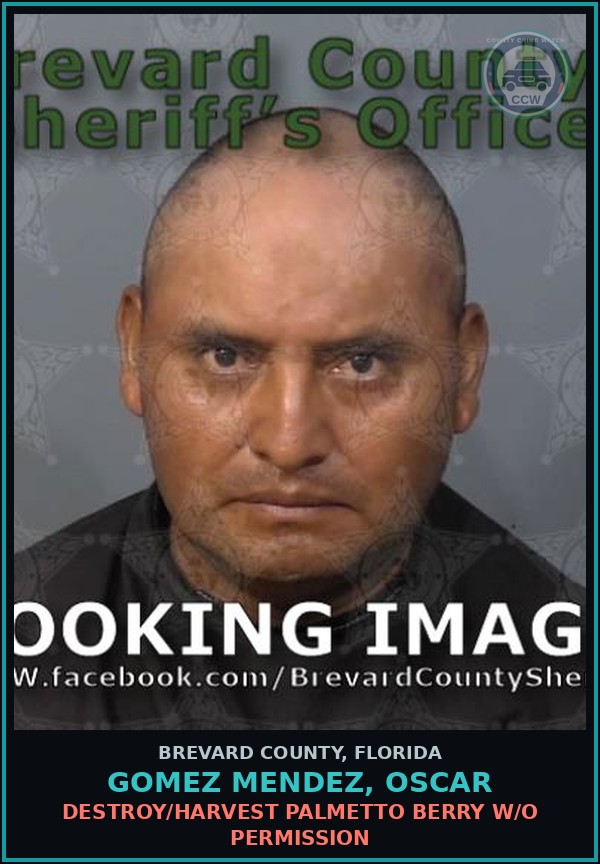Booking mugshot of GOMEZ MENDEZ, OSCAR in Brevard County