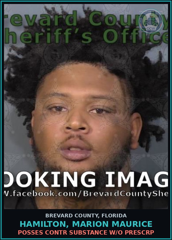 Booking mugshot of HAMILTON, MARION MAURICE in Brevard County