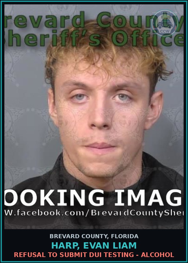 Booking mugshot of HARP, EVAN LIAM in Brevard County