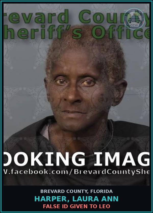 Booking mugshot of HARPER, LAURA ANN in Brevard County