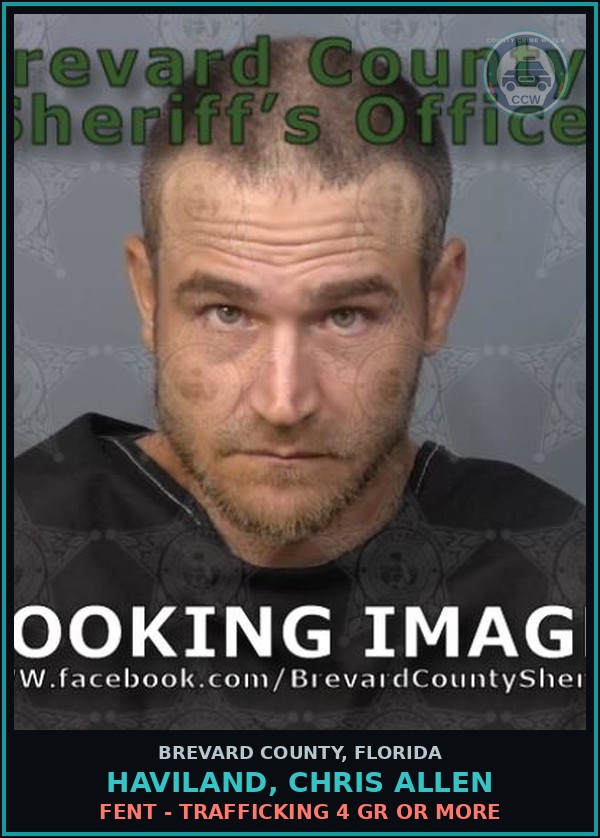 Booking mugshot of HAVILAND, CHRIS ALLEN in Brevard County